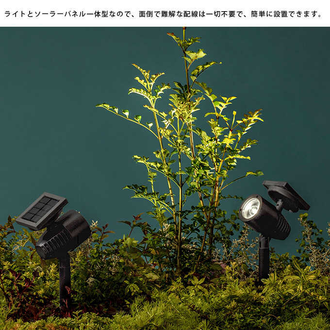 �����顼�饤�� ���� ���뤤 ���� �������硼 �����ǥ�饤�� �ϥ��ѥ LED�����顼���åץ饤��  �������� LED�饤�� ������ �ޤ� ��ư���� ��ñ���� �饤�ȥ��å� �ȼ� �� ���� ���� �������硼