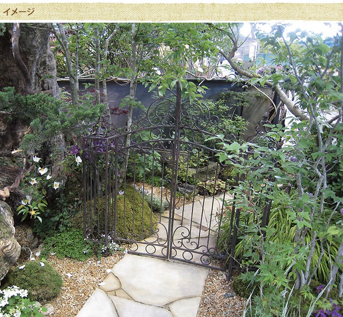 ѹ륬ǥ󥳥  ⡦ե  ǥ   ǥ˥ 󥰥/ ǥ˥󥰻/ȥ/ͥ ڤ/ //