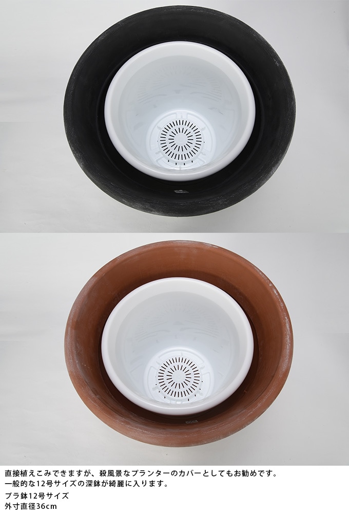 �ץ�󥿡� �緿 ȭ �礭�� ȭ �ץ饹���å� ������� �ץ�ȭ �ܥ�ɡ� ľ��50cm ����ȭ ������ꤢ��/�ڤ� ����/���� ���� ����/�̲�/���տ�ʪ �� ������ʪ ���ܥƥ� ¿����ʪ/���󥯥꡼�� ������/���� ����ƥ����� �ӥ�ơ���/