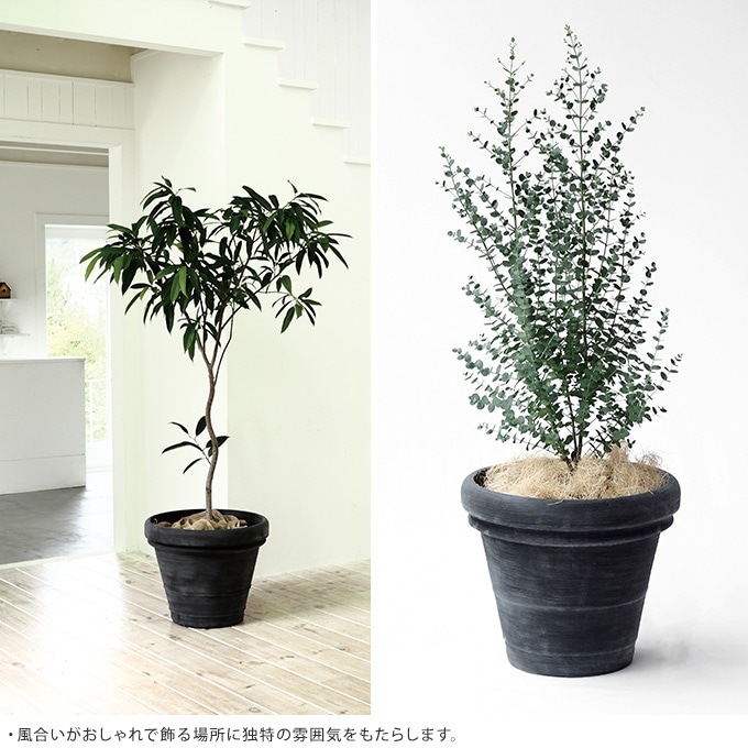 �ץ�󥿡� �緿 ȭ �礭�� ȭ �ץ饹���å� ������� �ץ�ȭ �ܥ�ɡ� ľ��50cm ����ȭ ������ꤢ��/�ڤ� ����/���� ���� ����/�̲�/���տ�ʪ �� ������ʪ ���ܥƥ� ¿����ʪ/���󥯥꡼�� ������/���� ����ƥ����� �ӥ�ơ���/