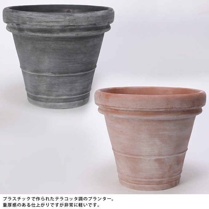 �ץ�󥿡� �緿 ȭ �礭�� ȭ �ץ饹���å� ������� �ץ�ȭ �ܥ�ɡ� ľ��50cm ����ȭ ������ꤢ��/�ڤ� ����/���� ���� ����/�̲�/���տ�ʪ �� ������ʪ ���ܥƥ� ¿����ʪ/���󥯥꡼�� ������/���� ����ƥ����� �ӥ�ơ���/