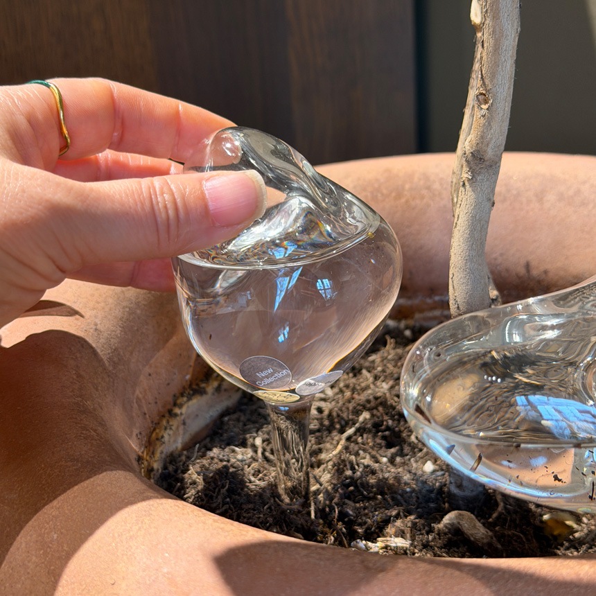 ferm LIVING �ե������ӥ� ��Υ����� Mercury Water Globes S������ 2�ĥ��å�  ��ư��� ȭ ���襤�� �̲� �����ǥ˥� ���տ�ʪ ��ư��嵡 �庹�� ����  ��ư����� �ץ�󥿡�  ������̵����