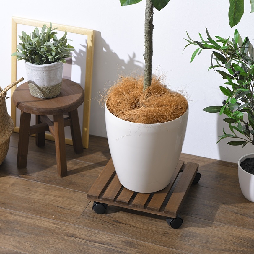 ȭ֤ 㥹դ  ѷ 3030cm  ȭ  ؤĤ 㥹 ץ󥿡 ե ꡼ å