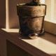 �ݥåȥե����� ferm LIVING �ե������ӥ� Nube Planter Feet 4�ĥ��å�  ȭ­ ������� ȭ��­ �ݥåȥեå� ȭ ­ �� ���� �����ǥ󻨲� �����ǥ˥󥰻��� ���襤�� �����ǥ�ġ���  ������̵����