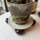 �ݥåȥե����� ferm LIVING �ե������ӥ� Nube Planter Feet 4�ĥ��å�  ȭ­ ������� ȭ��­ �ݥåȥեå� ȭ ­ �� ���� �����ǥ󻨲� �����ǥ˥󥰻��� ���襤�� �����ǥ�ġ���  ������̵����