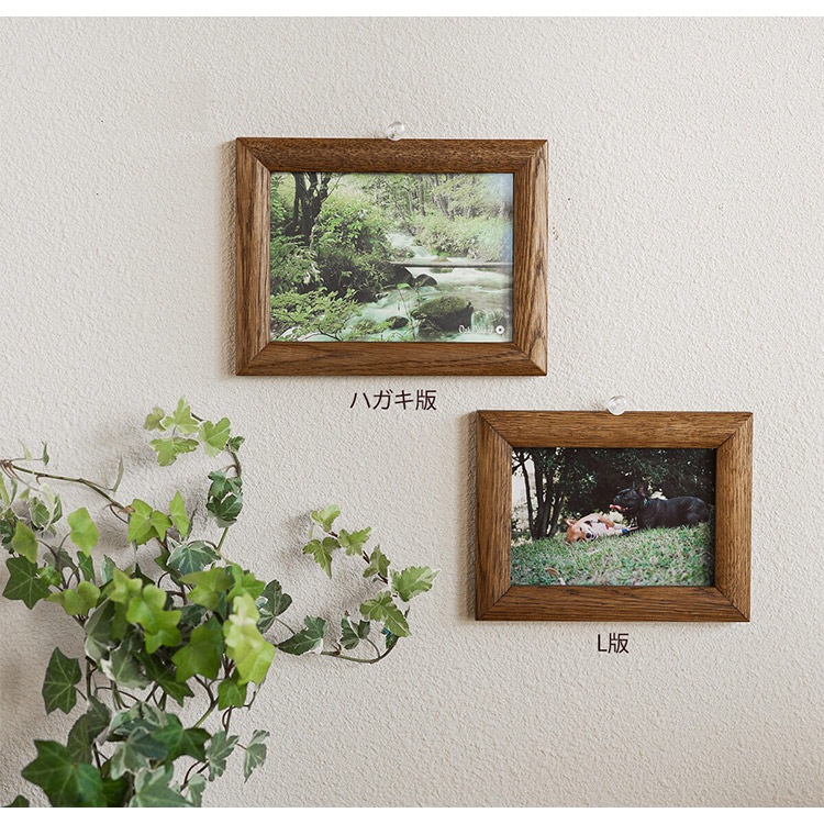 ������������å� ���饷�å��ե졼�� �ϥ��������� ��18cm �̿�Ω�Ƥ������ ���åɥե졼�� ��� ���� �� ���� ����ƥꥢ ���� �ץ쥼��� ���ե� �� �̲� �ʥ����� ����ץ�