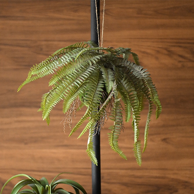 観葉植物　フェイクグリーン　タマシダ　アイアンハンギング Amazon｜GREENPARK タマシダ アイアンハンギング 観葉植物