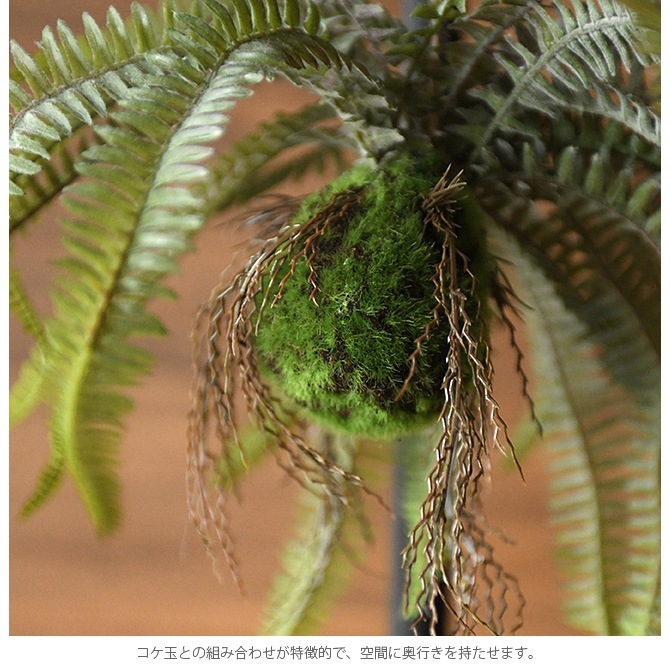 Brown. ֥饦 ե꡼ ܥȥե ϥ󥮥󥰥ܡ 30  տʪ ޥ¤ ĥǡ/꡼ ꥢ/ ϥ󥮥/ƥꥢ ɳݤ /ǥץ쥤//¿ʪ///