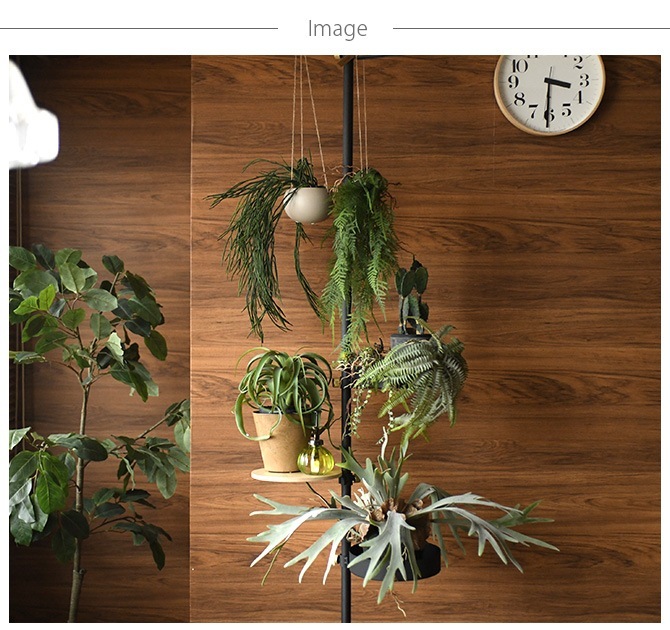 Brown. ֥饦 ե꡼ ܥȥե ϥ󥮥󥰥ܡ 30  տʪ ޥ¤ ĥǡ/꡼ ꥢ/ ϥ󥮥/ƥꥢ ɳݤ /ǥץ쥤//¿ʪ///