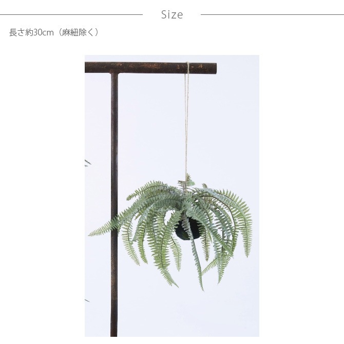 Brown. ֥饦 ե꡼ ܥȥե ϥ󥮥󥰥ܡ 30  տʪ ޥ¤ ĥǡ/꡼ ꥢ/ ϥ󥮥/ƥꥢ ɳݤ /ǥץ쥤//¿ʪ///