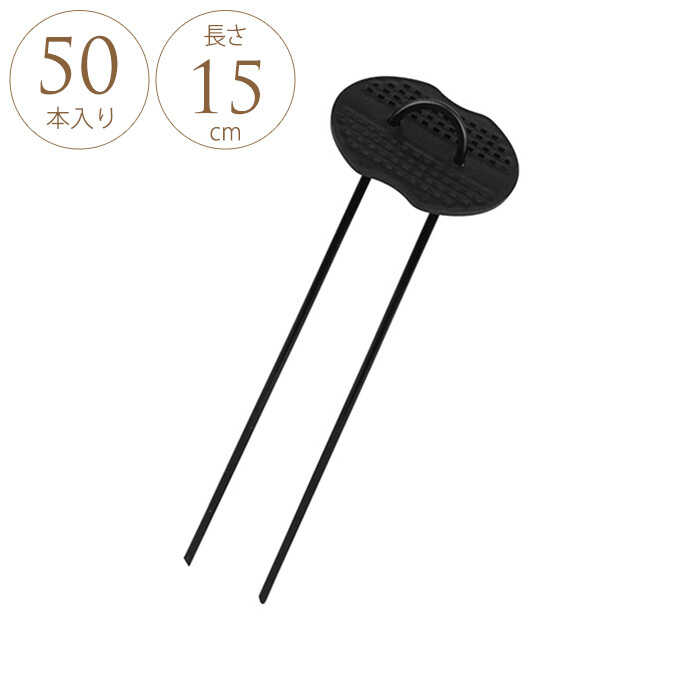 շԥ å 15cm 50 ȸԥ/𥷡Ȳ/ ѡ/