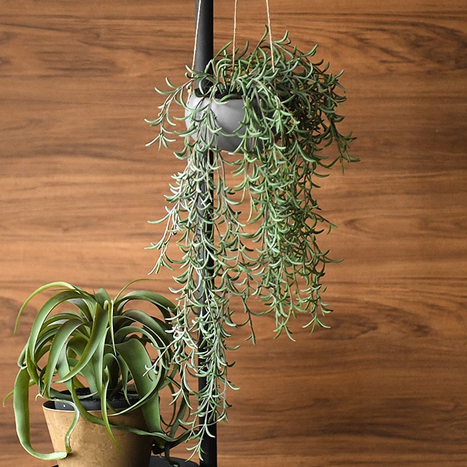Brown. ブラウン フェイクグリーン ホヤ ハンギングポット 観葉植物
