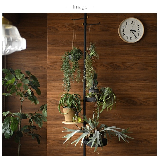 Brown. �֥饦�� �ե��������꡼�� �ۥ� �ϥ󥮥󥰥ݥå� ���տ�ʪ¤�� �ۥ��ͥ��ꥹ/���꡼�� ��ͥ��ꥹ/������� �ꥢ��/����ƥꥢ �ϥ󥮥�/�ǥ����ץ쥤/����/¿����ʪ/����/��/