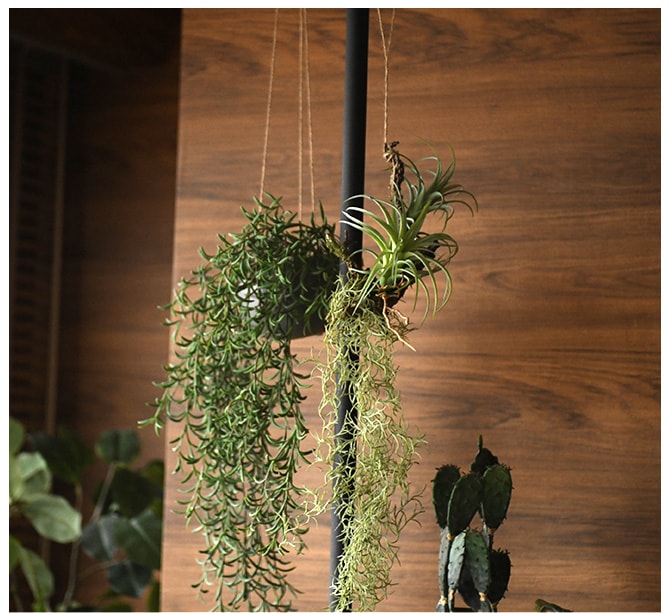 Brown. �֥饦�� �ե��������꡼�� �ۥ� �ϥ󥮥󥰥ݥå� ���տ�ʪ¤�� �ۥ��ͥ��ꥹ/���꡼�� ��ͥ��ꥹ/������� �ꥢ��/����ƥꥢ �ϥ󥮥�/�ǥ����ץ쥤/����/¿����ʪ/����/��/