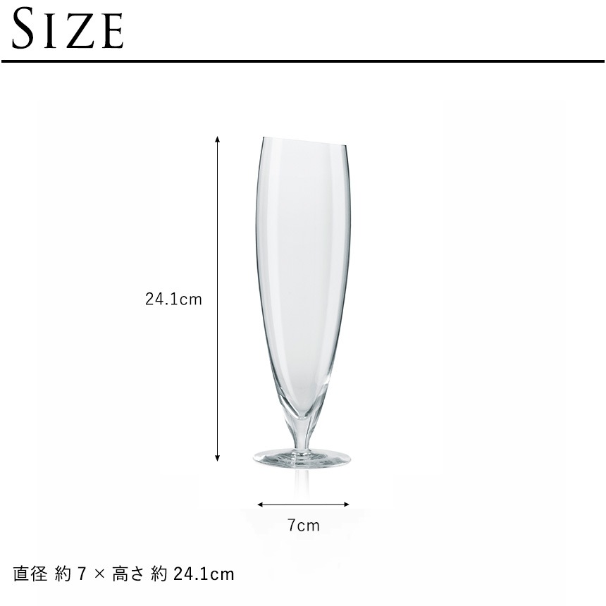 ���饹 ���å� �̲� eva solo ���Х��� �ӡ��륰�饹 �ϥ��ӡ��� 500ml 2�ӥ��å�  �ӥ����饹 �̲����饹 �͵� �̲����� ���å��� ������� Ʃ�� ���ꥢ ˢΩ��  �ץ쥼��� ���ե� ��������  ������̵����