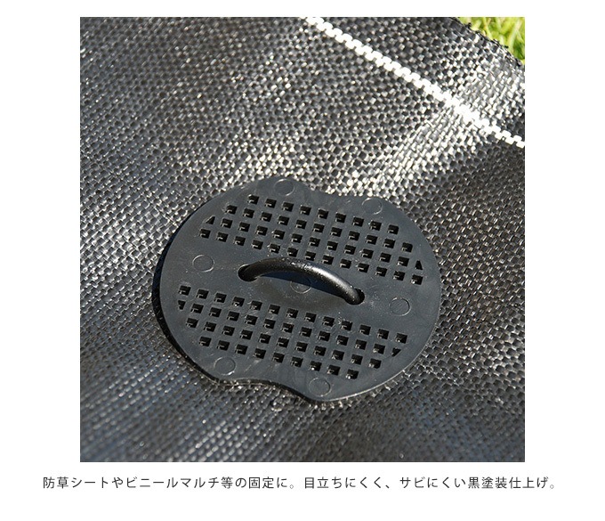 �շ��ԥ� ���å� 20cm 50������ �����ȸ���ԥ�/���𥷡��Ȳ���/���� �ѡ���/