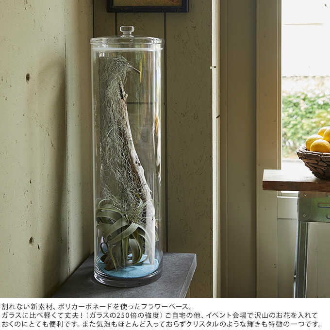 ���� ���ꥢ ���ʤ� �ݥꥫ ���ȥ졼�� �����롡ľ��12�߹⤵30cm �ե��١������� ���� ��������/�������/����ץ� Ʃ��/���ˤ���/�ݥꥫ���ܥ͡���/�̲� ������ ����ƥꥢ/�ޤ��/̵����åԥ�/