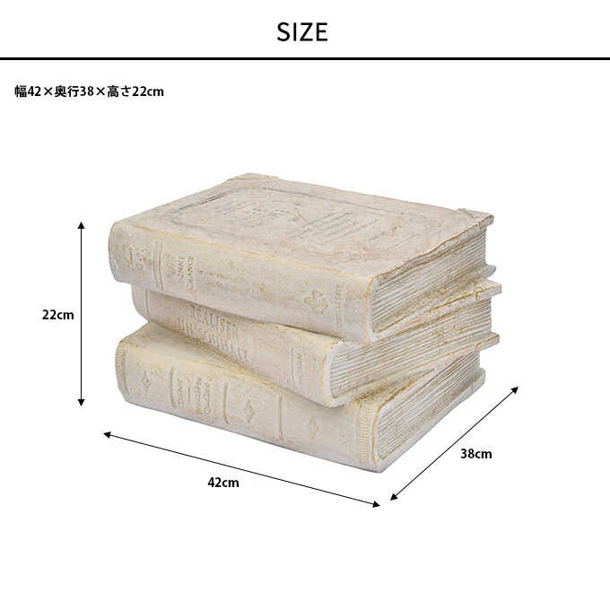�����ǥ󻨲� �ե�������� ���� �֥å� �⤵22cm �����ܥ꡼ �ץ�󥿡�������� ȭ�����/����ƥ����� ���饷�å�/�衼���å�/�ե�� �ե���/�����ǥ˥�/���� ���� �� ����/����/�����ʥ��� /