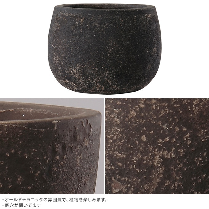 �ץ�󥿡� �緿 ȭ �礭�� ����ȭ ƫ��ե�å� �ܥ��뷿 ľ��23cm ���󥯥꡼�� �������ǾƤ� �������/���� ��ꤢ��/����ƥ�����/�礭��/�ʥ�����/���� ���� ����ƥꥢ/���տ�ʪ ���ܥƥ� ¿����ʪ/����/