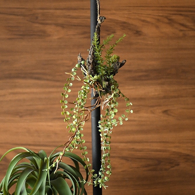 Brown. �֥饦�� ����󥸥��� ���� 47 ���տ�ʪ �ꥢ��¤�� �ե��������꡼��/���꡼�� �ߥå���/������� ¿��/����ƥꥢ �ϥ󥮥�/�ǥ����ץ쥤/���� �ɳݤ� ����/¿����ʪ/����/��/