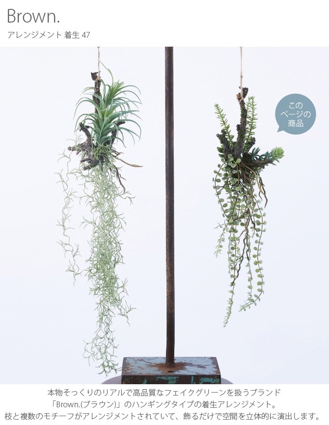 Brown. �֥饦�� ����󥸥��� ���� 47 ���տ�ʪ �ꥢ��¤�� �ե��������꡼��/���꡼�� �ߥå���/������� ¿��/����ƥꥢ �ϥ󥮥�/�ǥ����ץ쥤/���� �ɳݤ� ����/¿����ʪ/����/��/