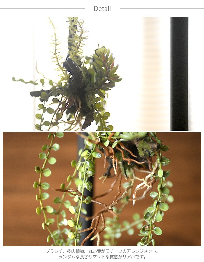 Brown. �֥饦�� ����󥸥��� ���� 47 ���տ�ʪ �ꥢ��¤�� �ե��������꡼��/���꡼�� �ߥå���/������� ¿��/����ƥꥢ �ϥ󥮥�/�ǥ����ץ쥤/���� �ɳݤ� ����/¿����ʪ/����/��/