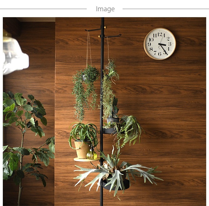 Brown. �֥饦�� ����󥸥��� ���� 47 ���տ�ʪ �ꥢ��¤�� �ե��������꡼��/���꡼�� �ߥå���/������� ¿��/����ƥꥢ �ϥ󥮥�/�ǥ����ץ쥤/���� �ɳݤ� ����/¿����ʪ/����/��/