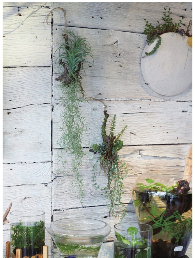 Brown. �֥饦�� ����󥸥��� ���� 47 ���տ�ʪ �ꥢ��¤�� �ե��������꡼��/���꡼�� �ߥå���/������� ¿��/����ƥꥢ �ϥ󥮥�/�ǥ����ץ쥤/���� �ɳݤ� ����/¿����ʪ/����/��/