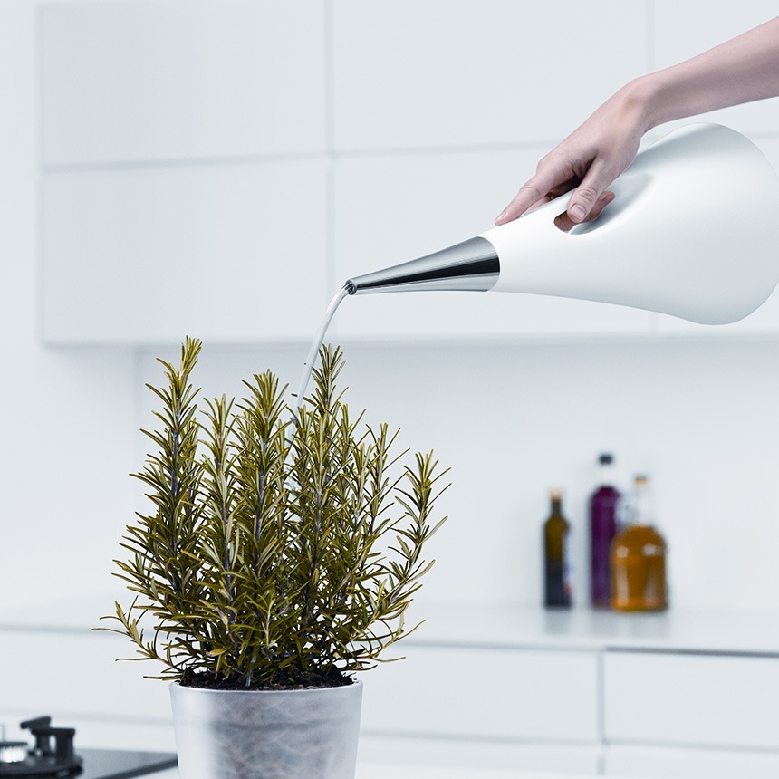 eva solo ( ���Х��� ) ����������������������󥰥��� 2L  ���礦�� ���祦���庹��/2000ml/���� ���� ���� ��/��Υȡ���/�֥�å� ��/�ۥ磻�� ��/���տ�ʪ/��� �������/��åԥ� ̵����åԥ� ���ե� �ץ쥼��� ��������/