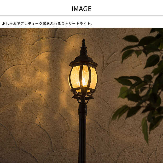 ǥ饤 ܥ ȥ꡼ȥ饤 1L ȥ顼å ⤵218.5cm 顼饤LED饤 / ֤/ư/ñ/ץ /­ / //硼/