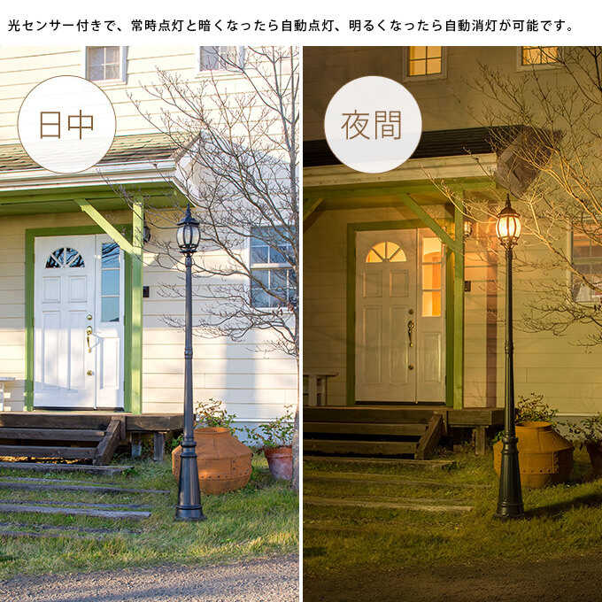 ǥ饤 ܥ ȥ꡼ȥ饤 1L ȥ顼å ⤵218.5cm 顼饤LED饤 / ֤/ư/ñ/ץ /­ / //硼/