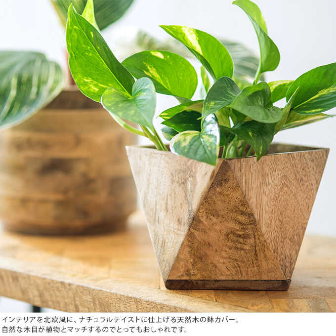 ȭ���С� ���� �ݥꥴ��ݥå� L �ץ�󥿡����С�ŷ��/�ʥ�����/����/�ݥåȥ��С�/����ƥꥢ ����/������� ����/�ޥ󥴡����å�/���å� �ݥå� ���С�/����ץ� ŷ���� ��������/