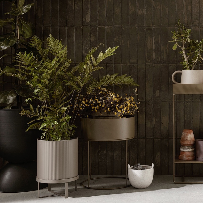 ferm LIVING �ե������ӥ� Bau Pot �Х��ݥå� L  �ץ�󥿡� �̲� ������� ȭ ȭ���С� ��ꤢ�� ���� ���� �ץ�󥿡����С� �ץ�󥿡�������� �� �����ǥ˥󥰻��� �����ǥ󻨲�  ������̵����