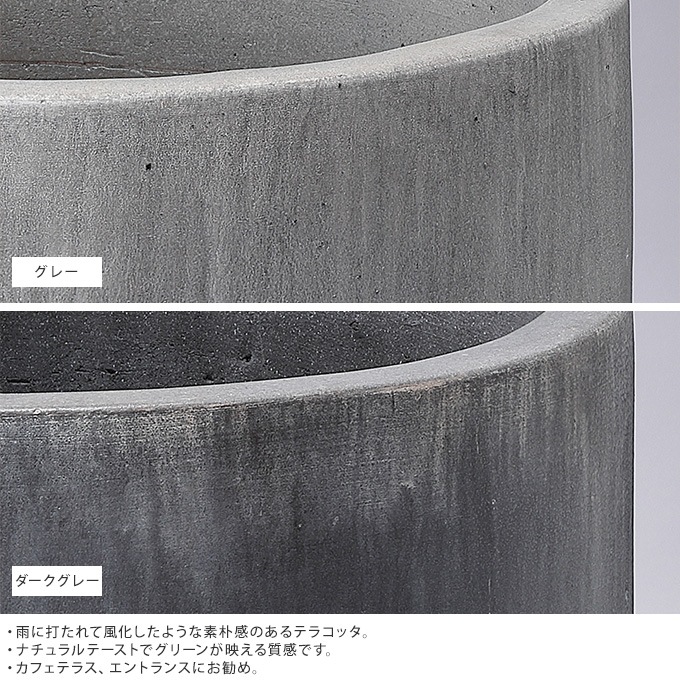 �ץ�󥿡� �緿 ȭ �礭�� ����ȭ ������� �쥤�ˡ� �������� ľ��45cm ȭ���С��ڤ� �礭��/���� ���� ����/��ꤢ�� ����/�̲� �ʥ�����/����/����ƥꥢ/����ץ�/���տ�ʪ ���ܥƥ� ¿����ʪ/���� ����ƥ����� �ӥ�ơ���/