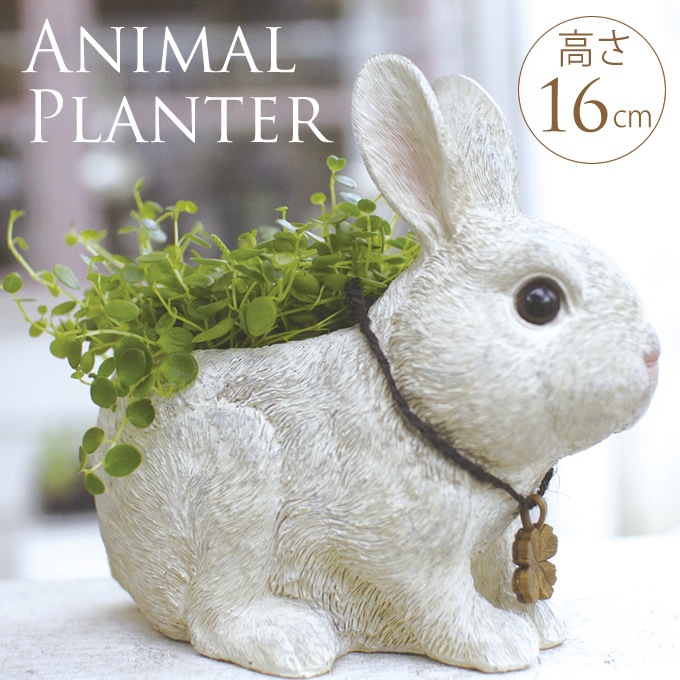 �����ǥ󻨲� ��ʪ ������� ���֥��� ȭ �ץ�󥿡� ��ӥåĥե����� �ץ�󥿡� S  �����ǥ� ���� ����ƥꥢ ���� ����