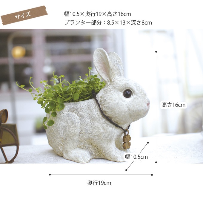 �����ǥ󻨲� ��ʪ ������� ���֥��� ȭ �ץ�󥿡� ��ӥåĥե����� �ץ�󥿡� S  �����ǥ� ���� ����ƥꥢ ���� ����