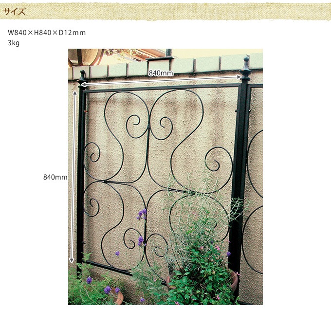 ե Сѥͥ  ڤꥢƥ/  ̲/ƥ////ǥ˥/衼å/Ϥ/