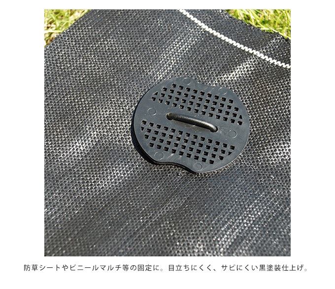 ���λ��ԥ� ���å� 15cm 50������ �����ȸ���ԥ�/���𥷡��Ȳ���/���� �ѡ���/