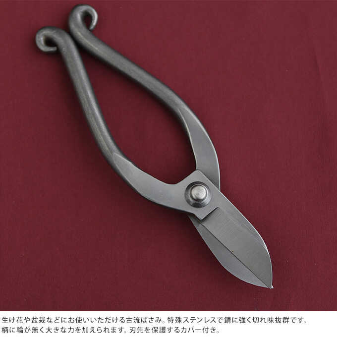   ƥ쥹 ˷ 165mm  ƻƻ ƻ/ϥ/  ڤ/