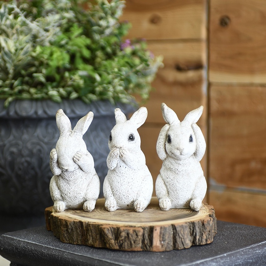 3åȡ ƥ ʹ虜  ۥ磻 3 å ƥꥢ  ǥ󻨲 ǥ ʪ 