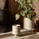 ferm LIVING �ե������ӥ� Bau Pot �Х��ݥå� S  �ץ�󥿡� �̲� ������� ȭ ȭ���С� ��ꤢ�� ���� ���� �ץ�󥿡����С� �ץ�󥿡�������� �� �����ǥ˥󥰻��� �����ǥ󻨲�  ������̵����
