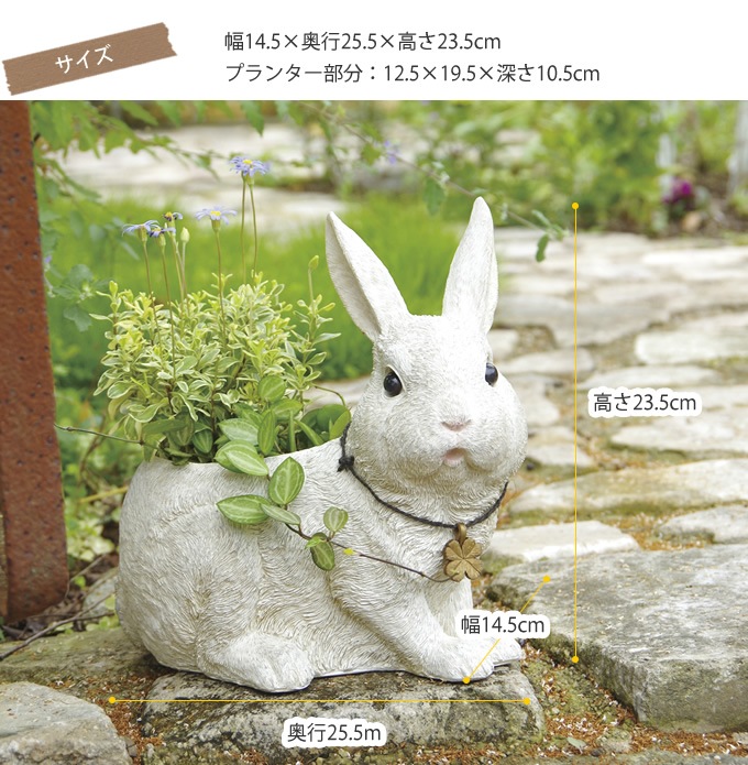 �����ǥ󻨲� ��ʪ ������� ���֥��� ȭ �ץ�󥿡� ��ӥåĥե����� �ץ�󥿡� L  �����ǥ� ���� ����ƥꥢ ���� ����