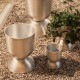 ferm LIVING �ե������ӥ� Hourglass Pot ������饹 �ݥå� XS������ �ץ�󥿡�������� ȭ���С� �̲� �֥��� �͵� �����ǥ󻨲� �ץ�󥿡����С� �����ǥ˥󥰻��� ȭ ����͢����