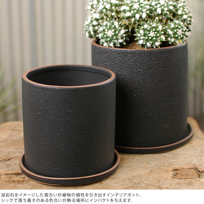 �ץ�󥿡� ������� ȭ �������դ� ����ץ� �����������å׷� �ե��ݥå� 3�� ���ִ� �֥�å�/����ȭ/��������/�٥���/���տ�ʪ ���ܥƥ� ¿����ʪ/���� ����ƥ����� �ӥ�ơ���/