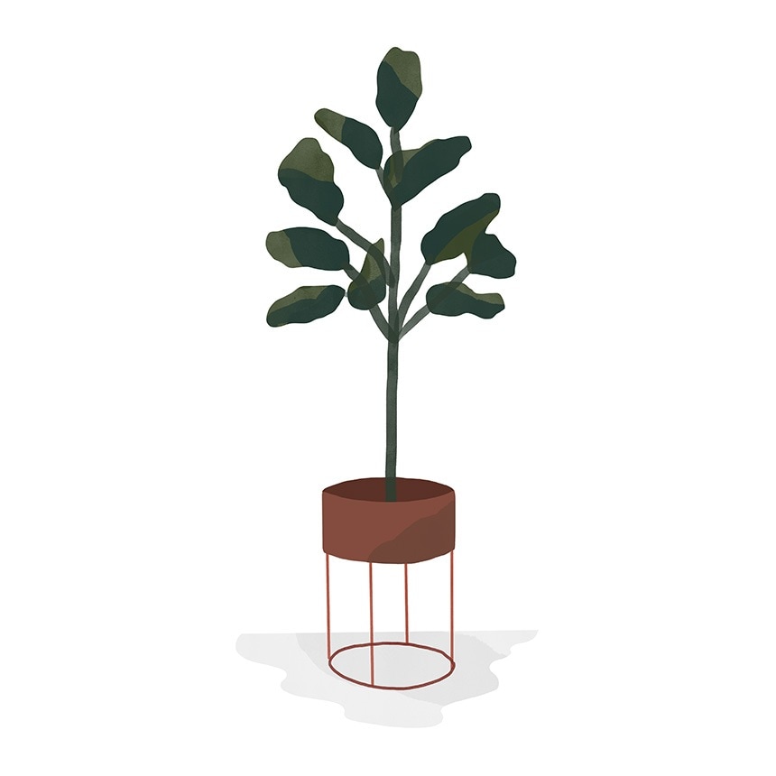 ferm LIVING �ե������ӥ� �ץ��ȥܥå��� �饦���  �ץ�󥿡� �̲� ��ʪ���� ��Ǽ �̲����� ����ƥꥢ ���ߡ�������� ��Ǽ ���å��� ����ȭ ȭ ������� ����͢����  ������̵����