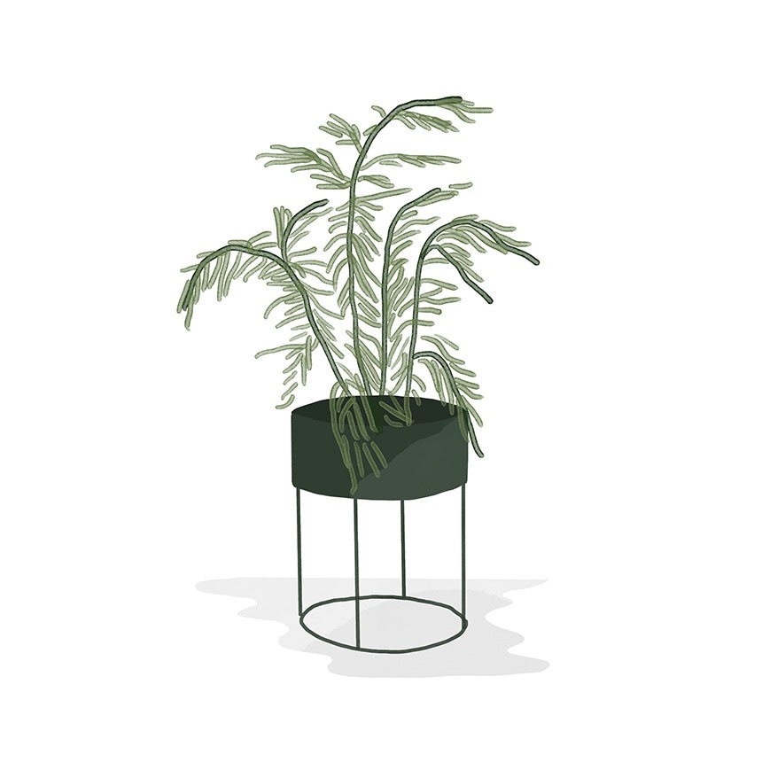 ferm LIVING �ե������ӥ� �ץ��ȥܥå��� �饦���  �ץ�󥿡� �̲� ��ʪ���� ��Ǽ �̲����� ����ƥꥢ ���ߡ�������� ��Ǽ ���å��� ����ȭ ȭ ������� ����͢����  ������̵����