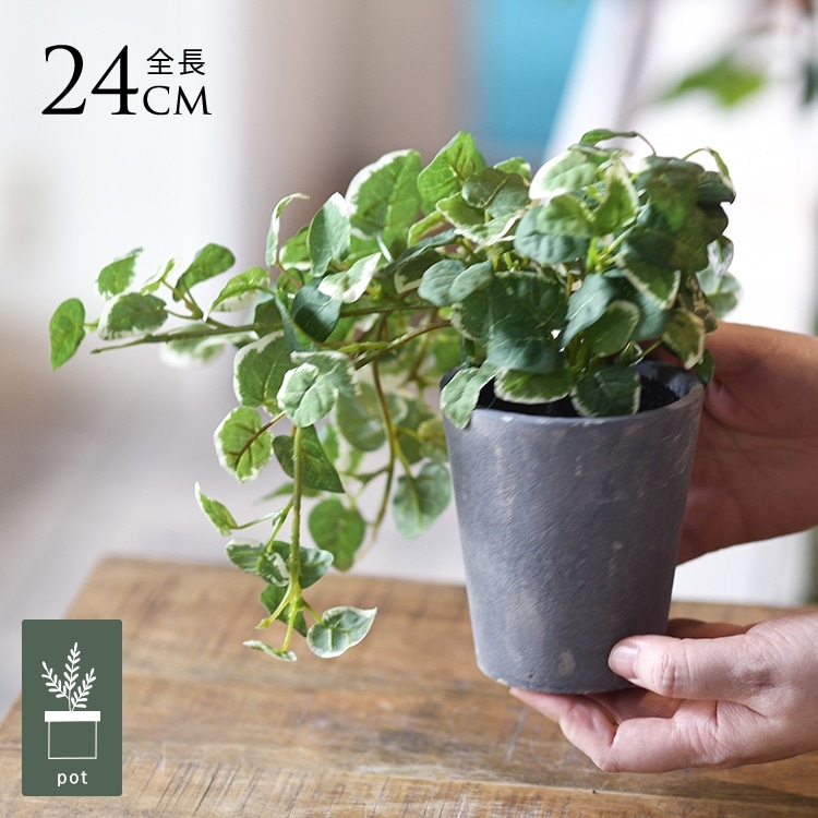 フェイクグリーン 鉢付き おしゃれ プミラ ポット ミニ 3号 人工観葉