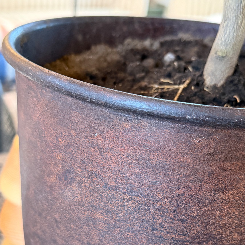 ferm LIVING �ե������ӥ� Hourglass Pot ������饹 �ݥå� M������ �ץ�󥿡�������� ȭ���С� �̲� �֥��� �͵� �����ǥ󻨲� �ץ�󥿡����С� �����ǥ˥󥰻��� ȭ ����͢����