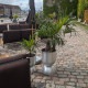 ferm LIVING �ե������ӥ� Hourglass Pot ������饹 �ݥå� M������ �ץ�󥿡�������� ȭ���С� �̲� �֥��� �͵� �����ǥ󻨲� �ץ�󥿡����С� �����ǥ˥󥰻��� ȭ ����͢����