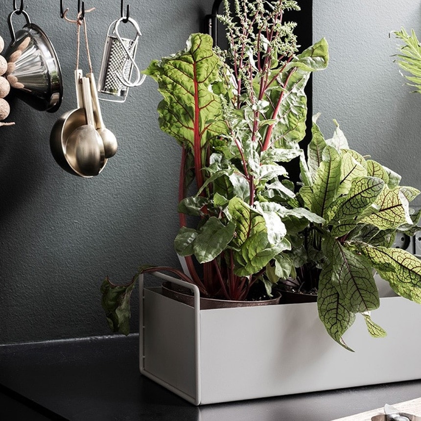 ferm LIVING �ե������ӥ� �ץ��ȥܥå��� S  �ץ�󥿡� �̲� ��ʪ���� ��Ǽ �̲����� ����ƥꥢ ���ߡ�������� ��Ǽ ���å��� ����ȭ ȭ ������� ����͢����  ������̵����